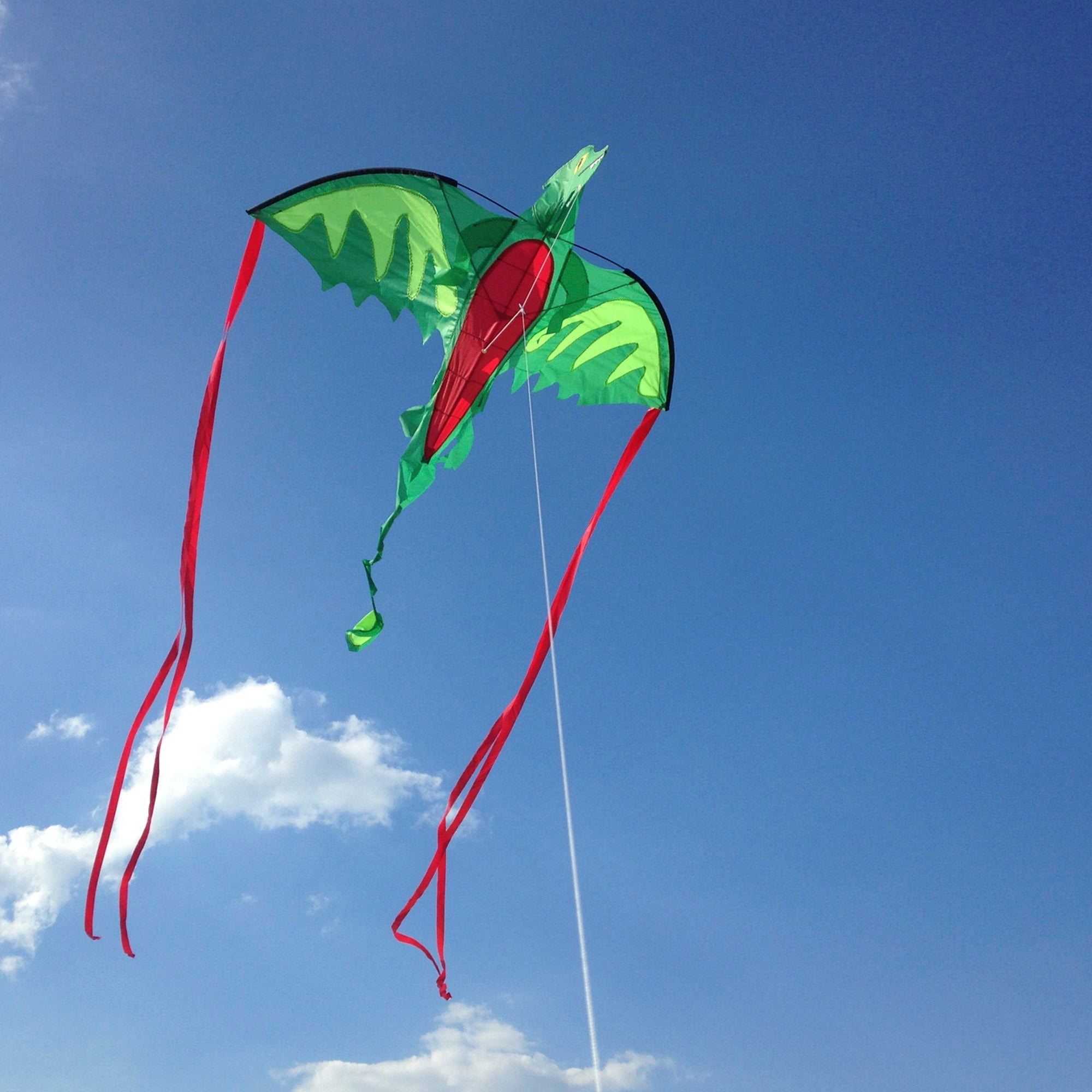 Winged Dragon Shaped Kite