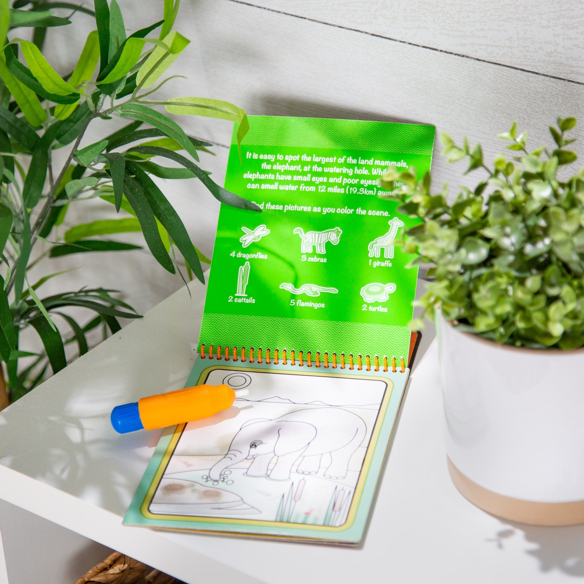 Water Wow! Water-Reveal Pad - Safari