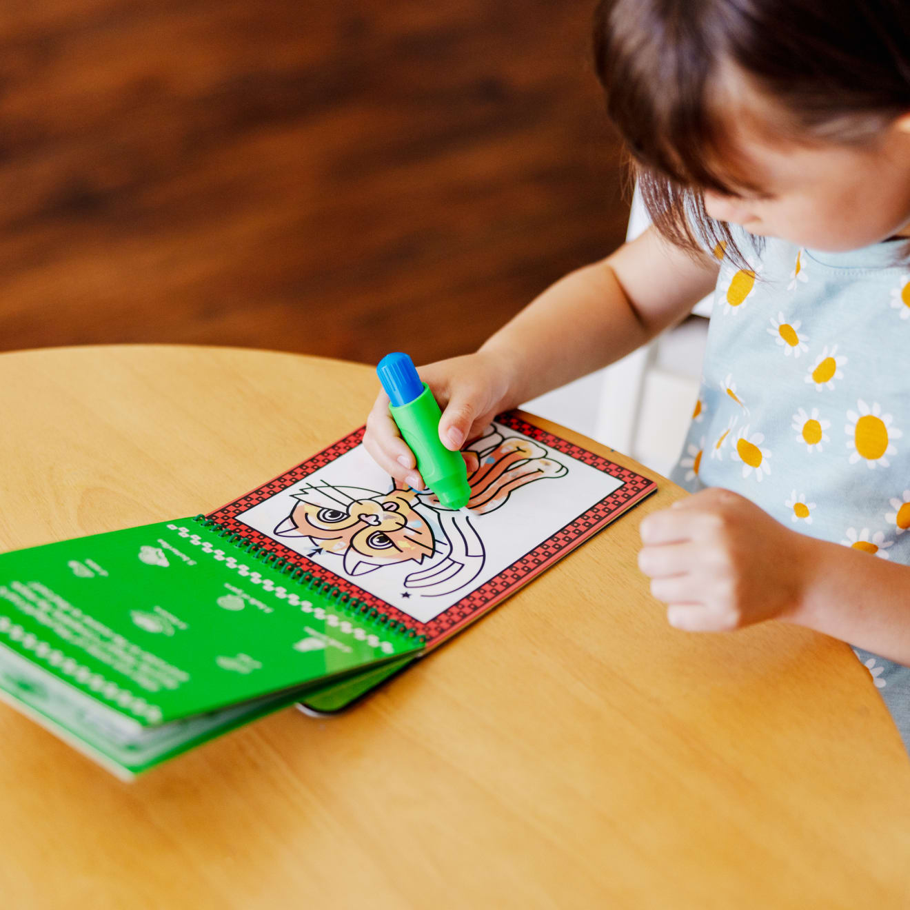 Water Wow! Pet Mazes - On the Go Travel Activity