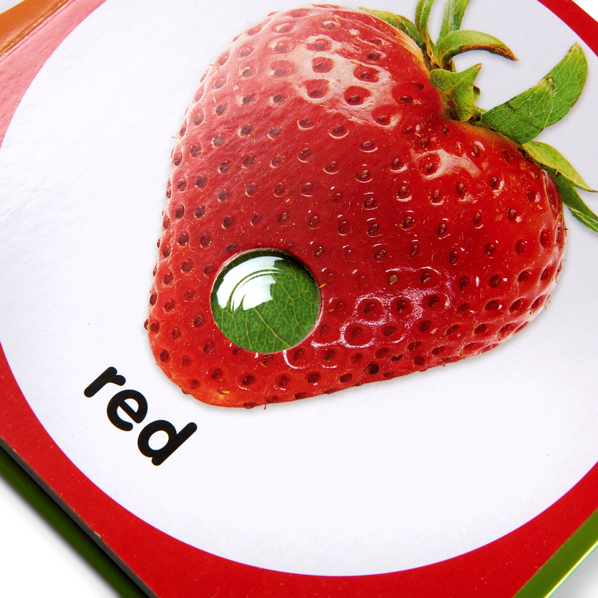 Poke-a-Dot: First Colors Board Book