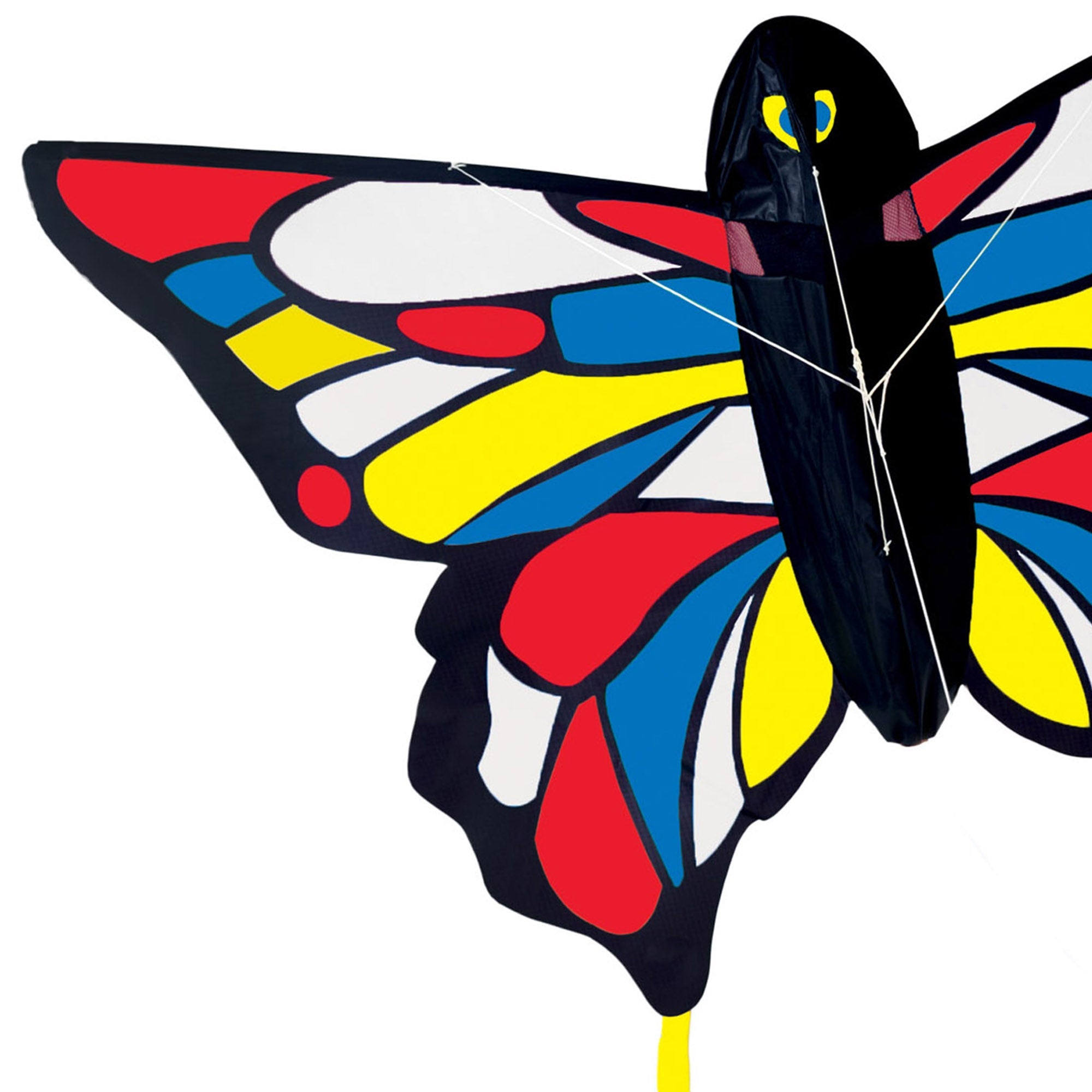 Beautiful Butterfly Kite