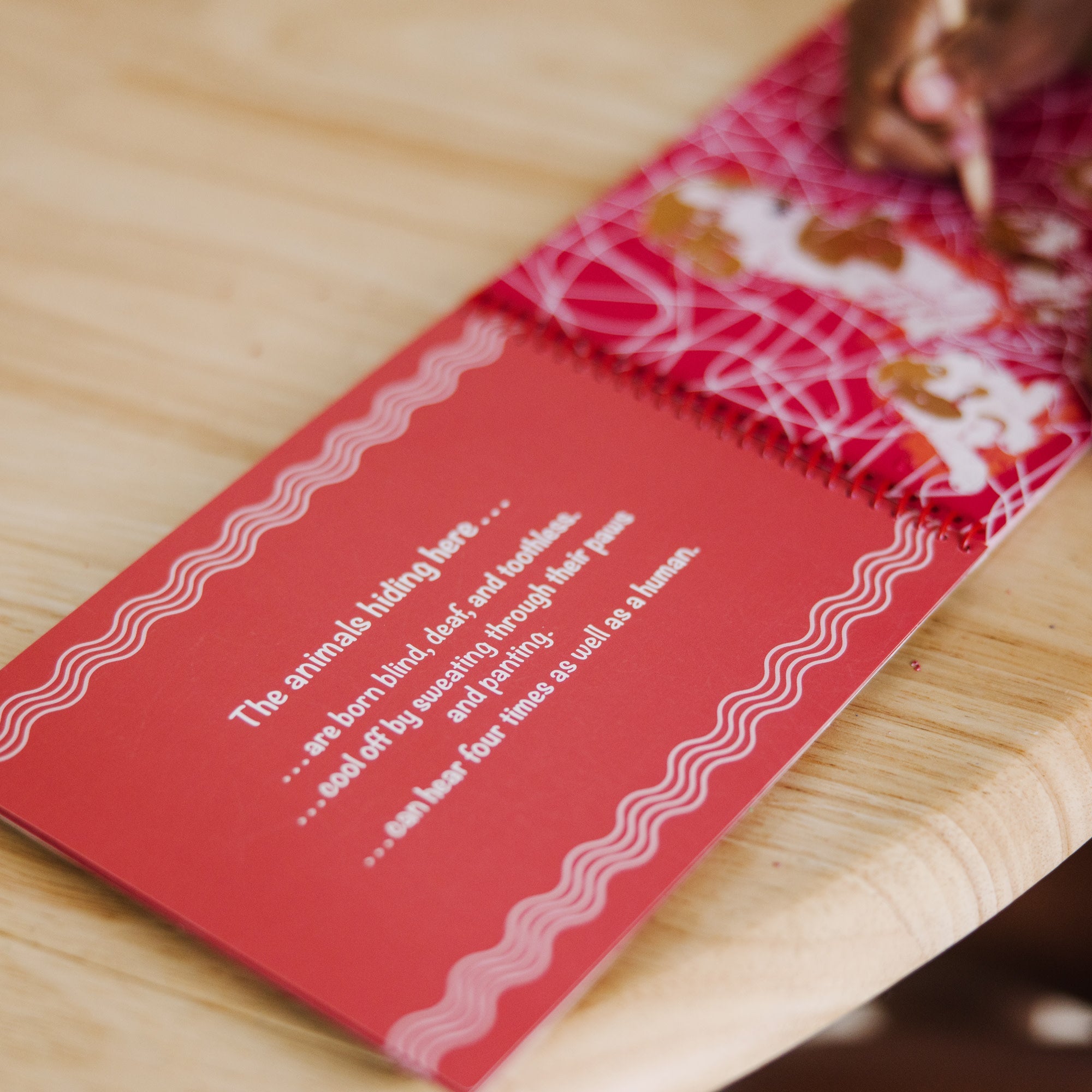 On the Go Scratch Art Color Reveal Pad - Animal Families